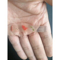 印章一枚(se71191414)_7788收藏__收藏热线