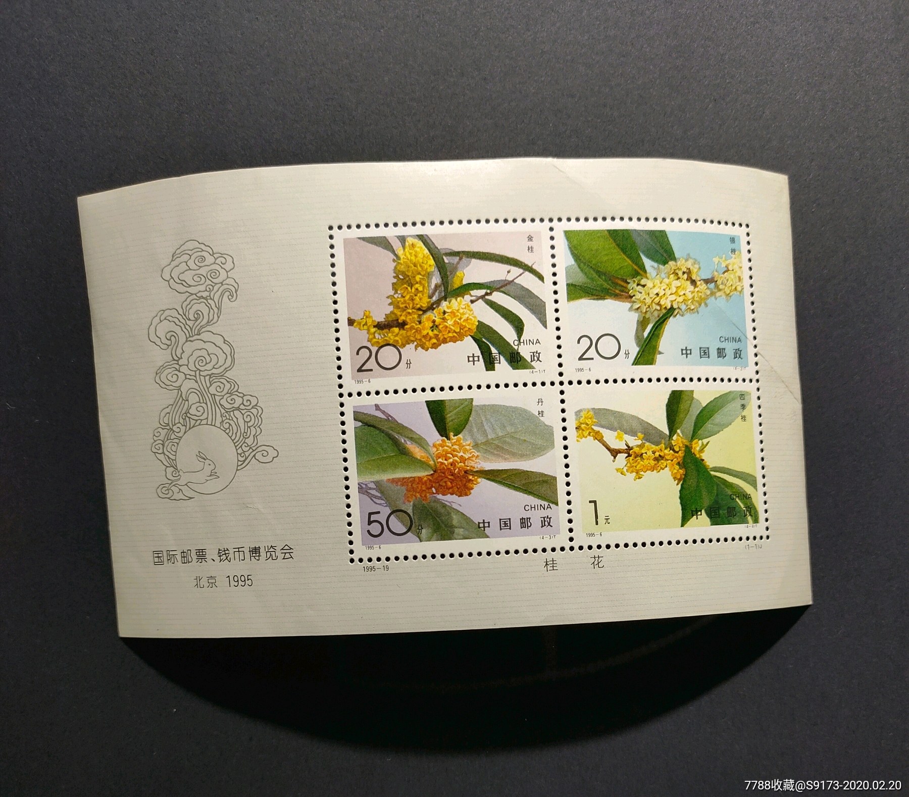 199519桂花小全张