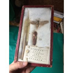 旋花天蛾-温州市标本厂制1975.5(se71197481)_7788收藏__收藏热线