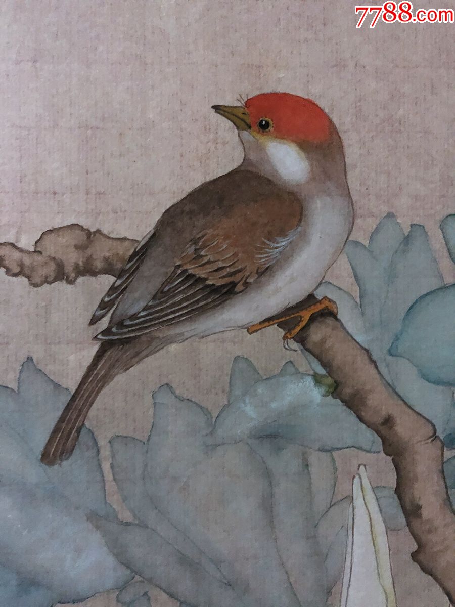 书画原作3738,无款工笔重彩花鸟画,小鸟玉兰花,四尺斗方
