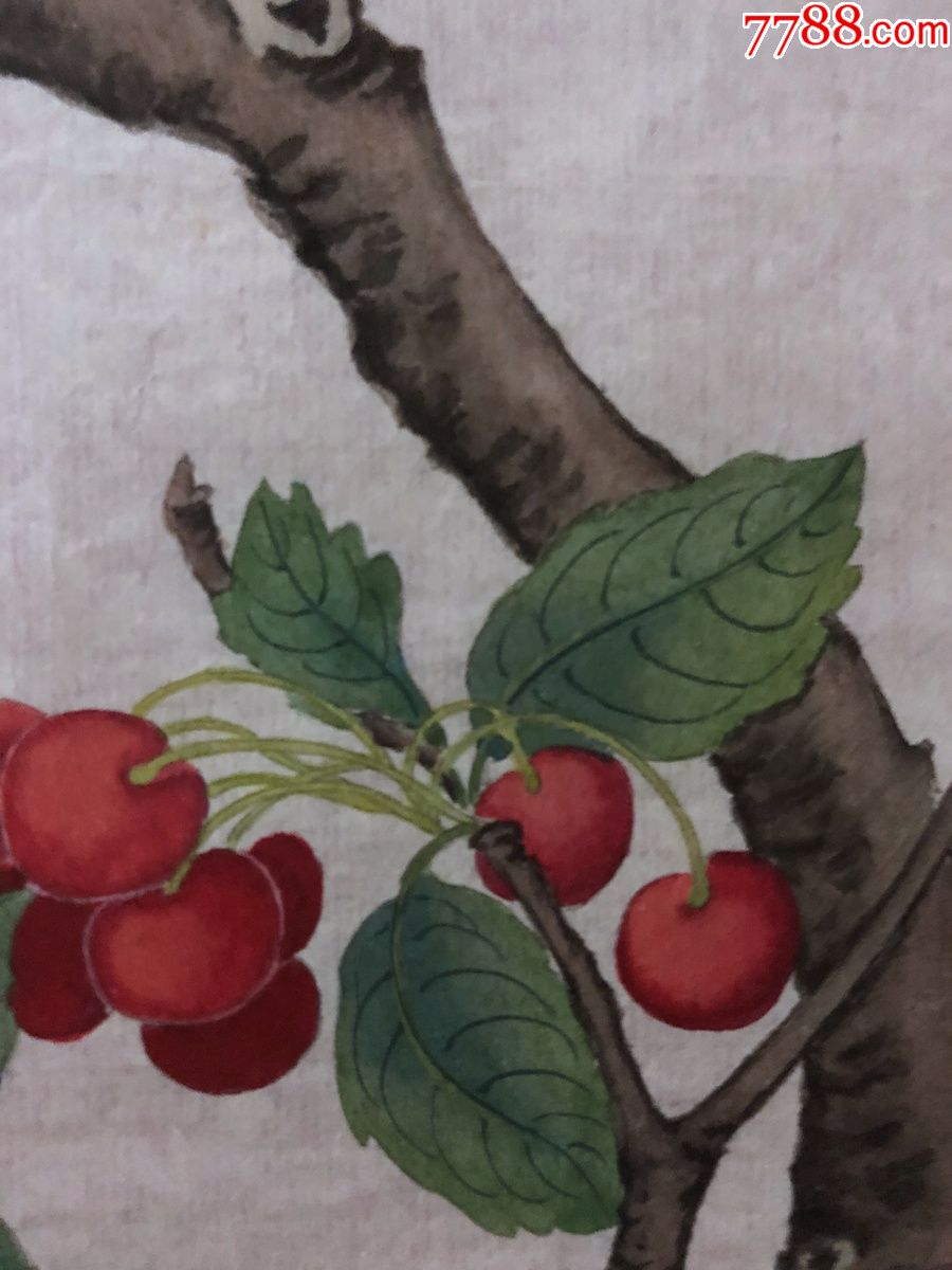 书画原作3743,无款工笔重彩花鸟画,小鸟樱桃,四尺斗方