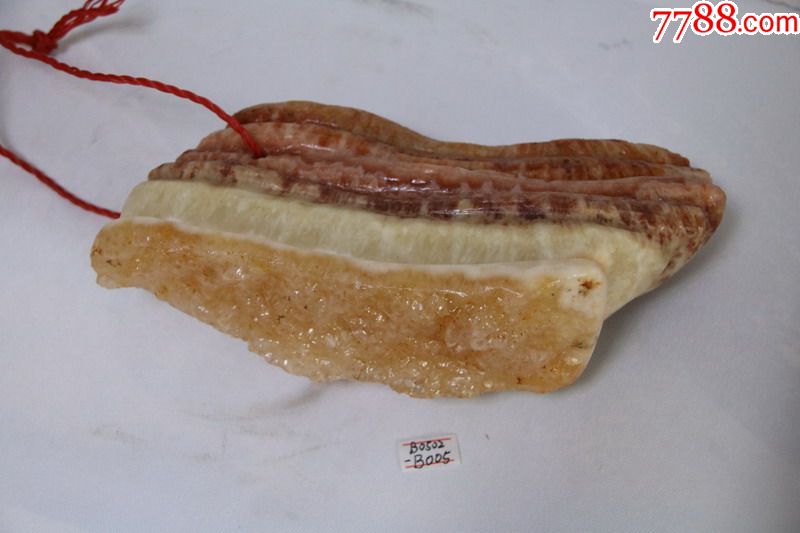 【原皮猪肉条】猪肉石.广西柳州奇石精品
