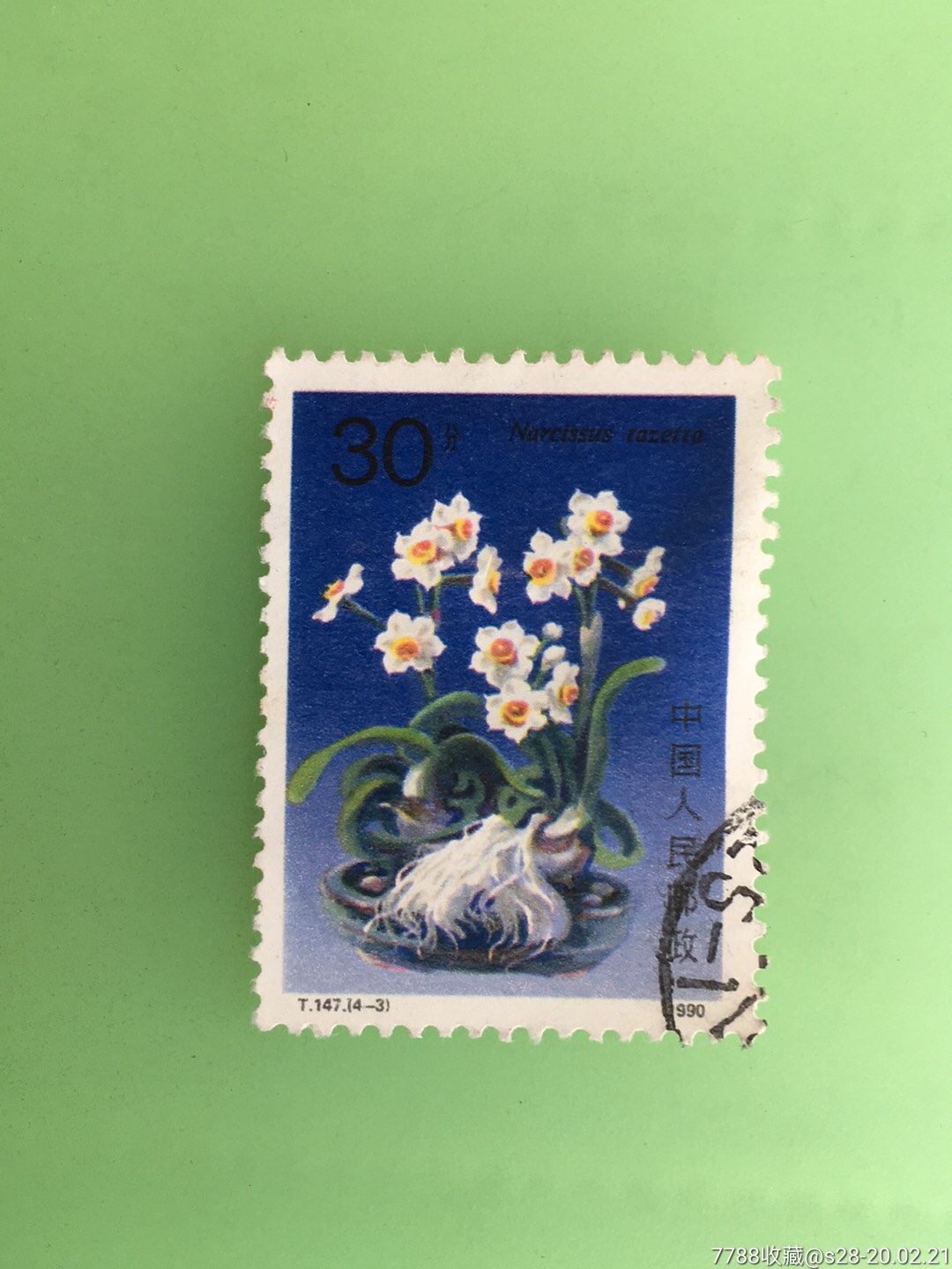 水仙花-价格:2元-se71203387-新中国邮票-零售-7788收藏__收藏热线