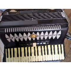 星海手风琴(se71202902)_7788收藏__收藏热线