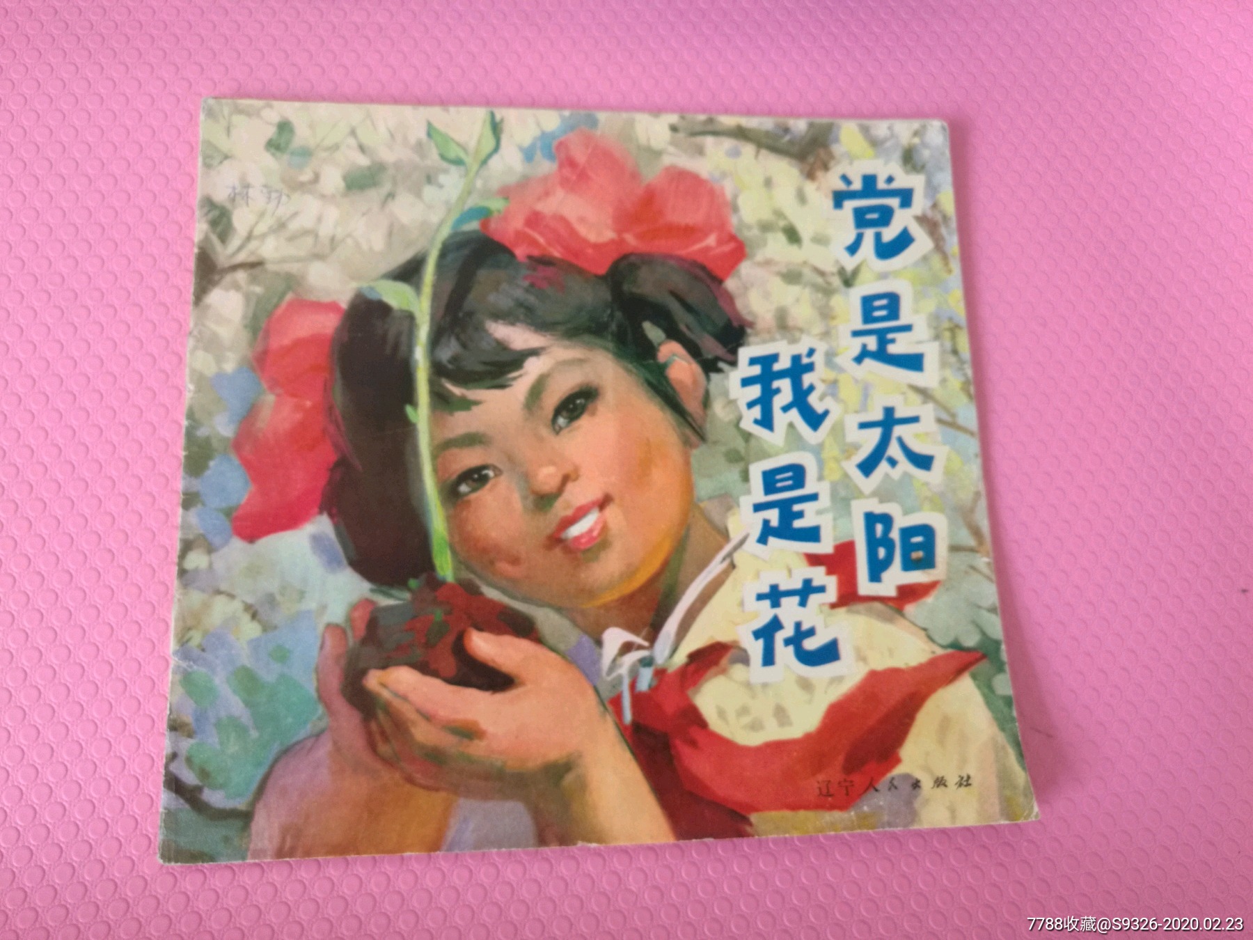 党是阳光我是花~宋惠民封面