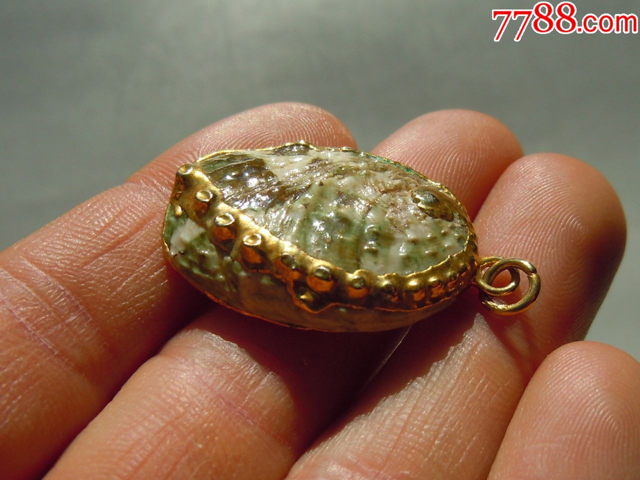 鎏金鲍鱼壳挂坠!