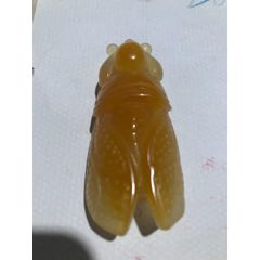 黄龙玉一鸣惊人(se71252527)_7788收藏__收藏热线