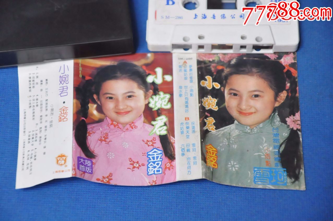 婉君歌曲歌词(婉君歌曲歌词表达什么情感)