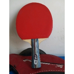 两面有皮球拍(se71260933)_7788收藏__收藏热线