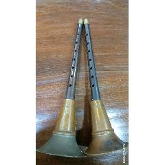 唢呐(se71263081)_7788收藏__收藏热线