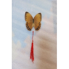 蝴蝶标本(se71279708)_7788收藏__收藏热线