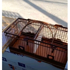 鸟笼(se71283265)_7788收藏__收藏热线