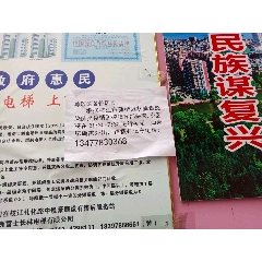 太阳娥、月阳娥蝴蝶标本(se71284003)_7788收藏__收藏热线