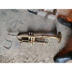 星海牌小号(se71284916)_7788收藏__收藏热线