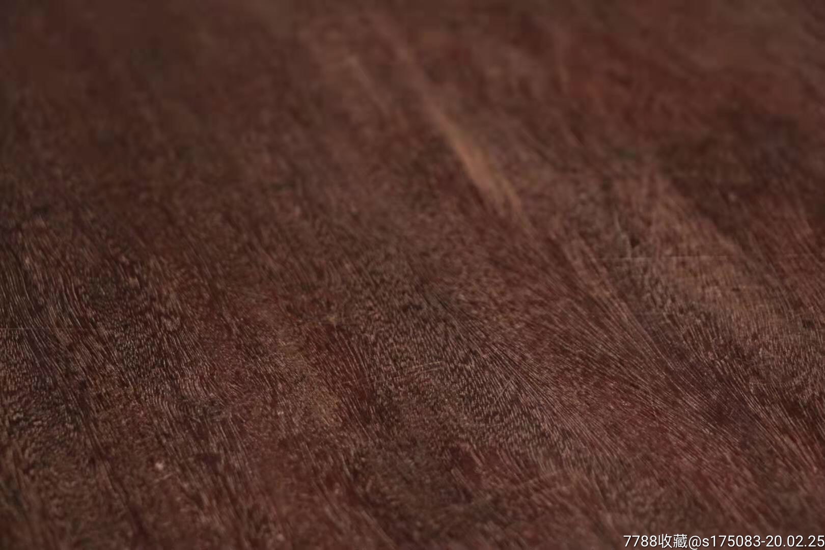 铁力木树皮图片