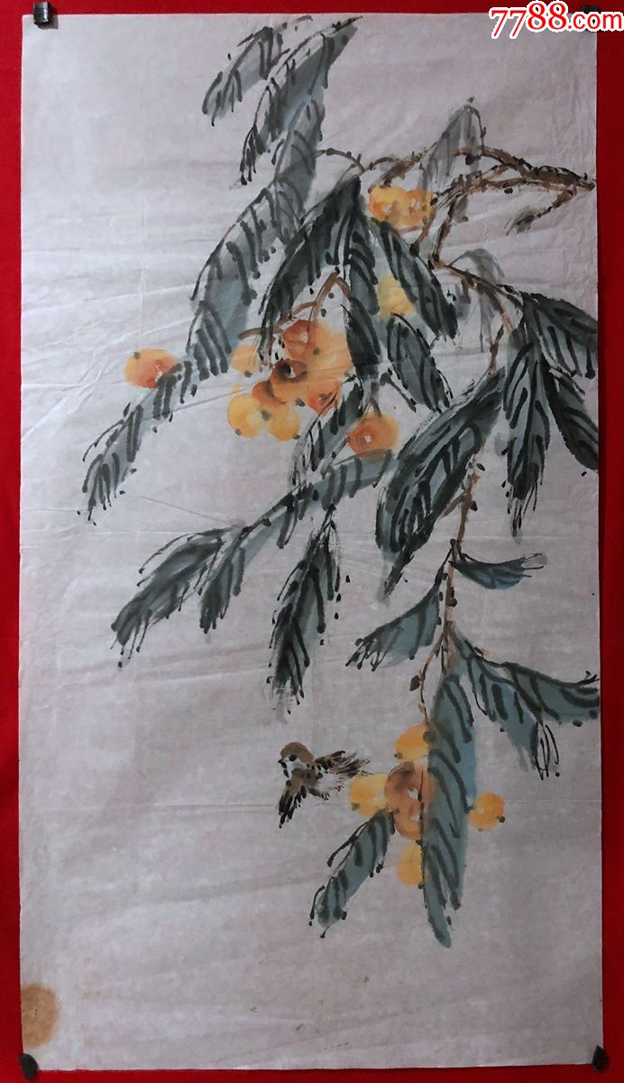 書畫原作4272,無款花鳥畫,枇杷小鳥,三尺全開