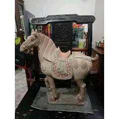 三彩马(se71294228)_7788收藏__收藏热线