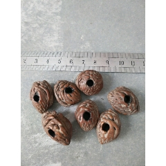 桃核7个(se71300335)_7788收藏__收藏热线