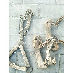 诚转不懂的马具(se71301281)_7788收藏__收藏热线