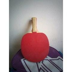 乒乓球拍(se71318052)_7788收藏__收藏热线