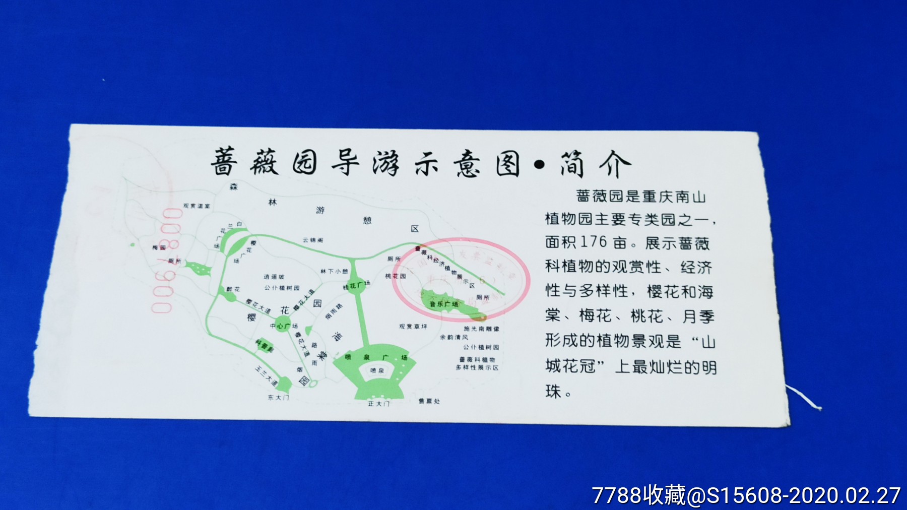 重庆南山植物园蔷薇园