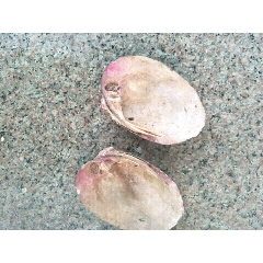 诚转它(se71332791)_7788收藏__收藏热线