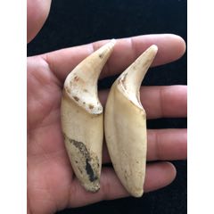 牙(se71337437)_7788收藏__收藏热线