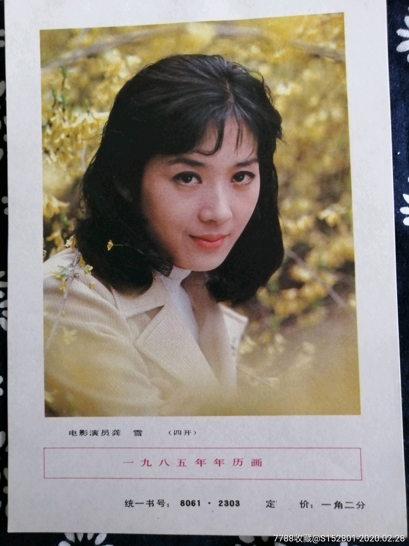 电影演员龚雪