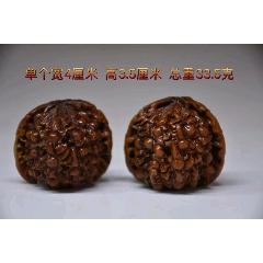 文玩核桃(se71346819)_7788收藏__收藏热线