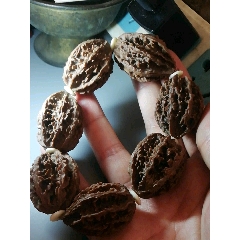 四川麻核桃手串(se71354777)_7788收藏__收藏热线