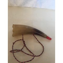 牛角口哨(se71359459)_7788收藏__收藏热线