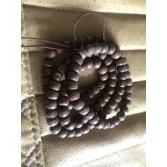 老星月菩提子(se71369031)_7788收藏__收藏热线