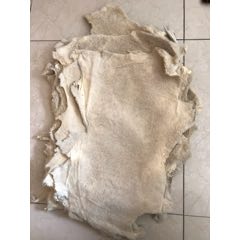 处理羊羔皮一组(se71375622)_7788收藏__收藏热线