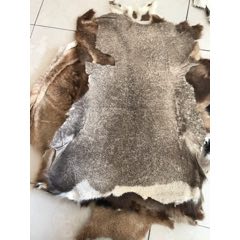 处理羊羔皮一组(se71375645)_7788收藏__收藏热线