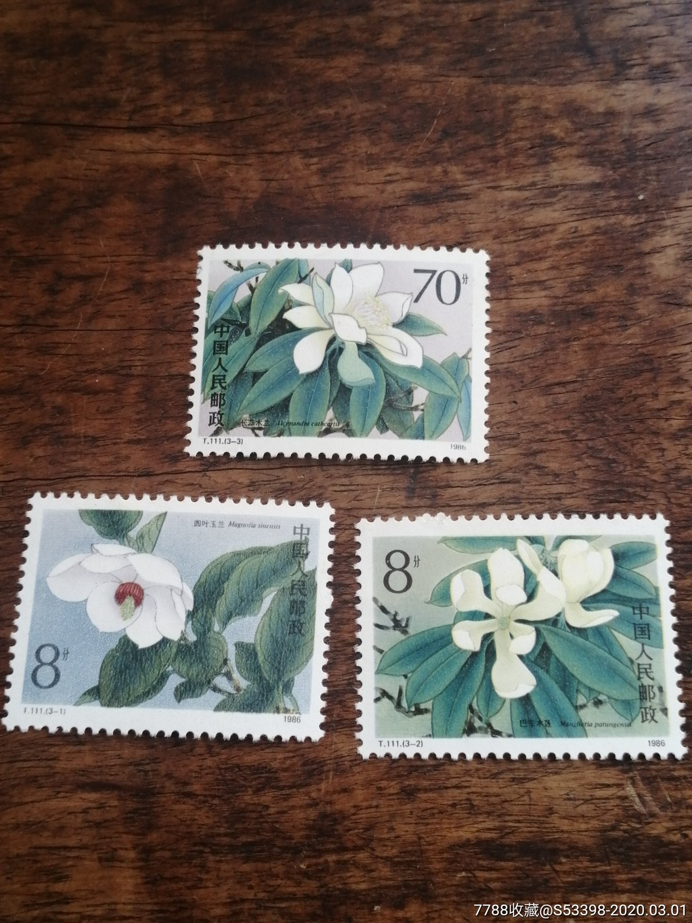 t111木兰_新中国邮票_第1张_7788集邮网