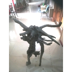 老树根(se71394807)_7788收藏__收藏热线