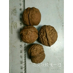 老文玩核桃一组(se71400774)_7788收藏__收藏热线