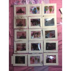 九年义务教育六年制小学教科书《语文》第二册(se71405195)_7788收藏__收藏热线