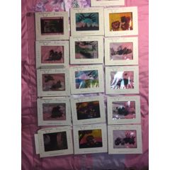 九年义务教育六年制小学教科书《语文》第二册(se71405434)_7788收藏__收藏热线