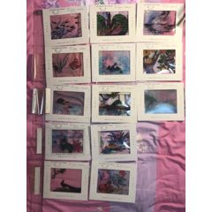 九年义务教育六年制小学教科书《语文》第四册(se71405886)_7788收藏__收藏热线