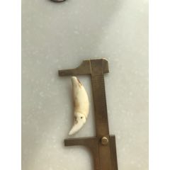 狗牙一对(se71416146)_7788收藏__收藏热线