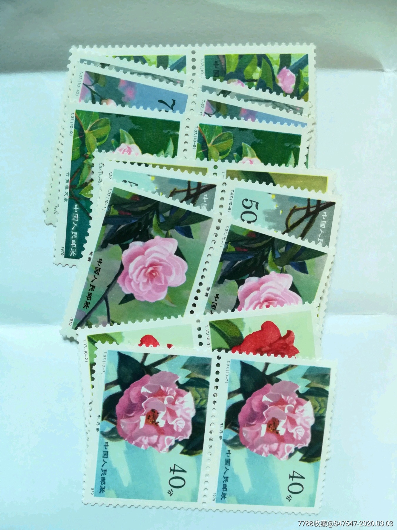 t37云南山茶花一组九枚-新中国邮票-7788收藏__收藏热线