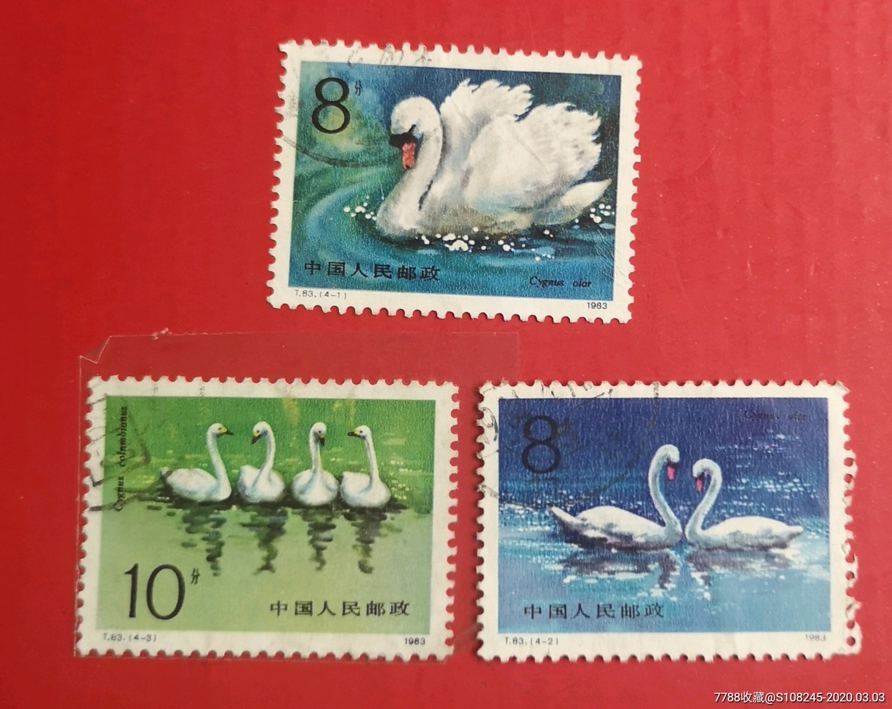 t83天鹅-新中国邮票-7788收藏__收藏热线