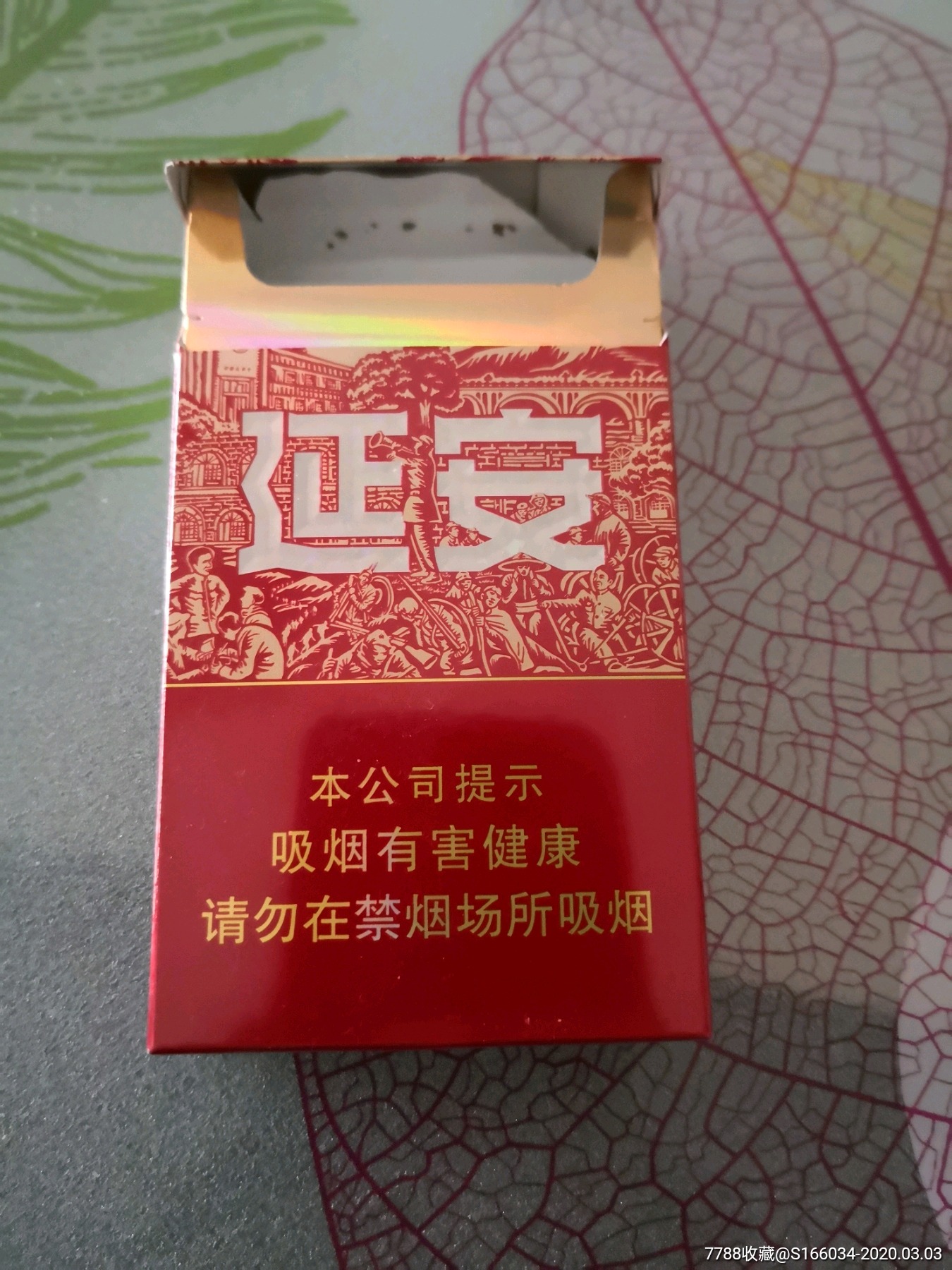 延安圣地河谷(522)