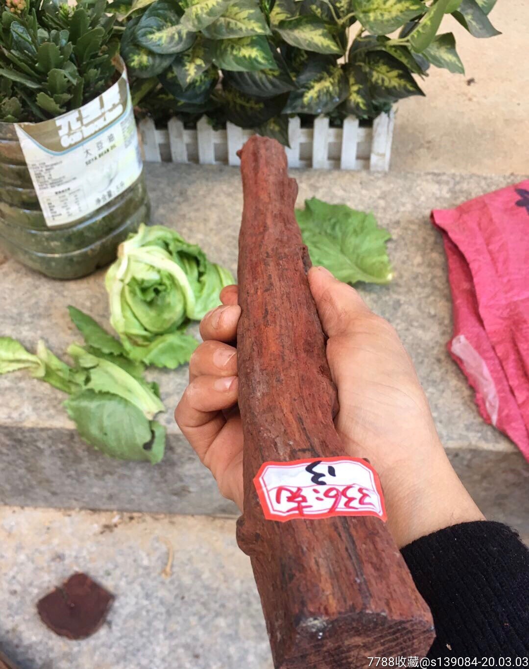 缅甸降真香木一根,,重336克!包真