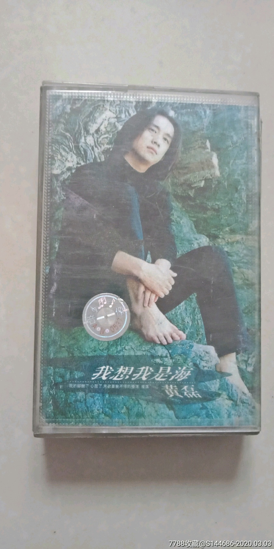 我想我是海/黄磊