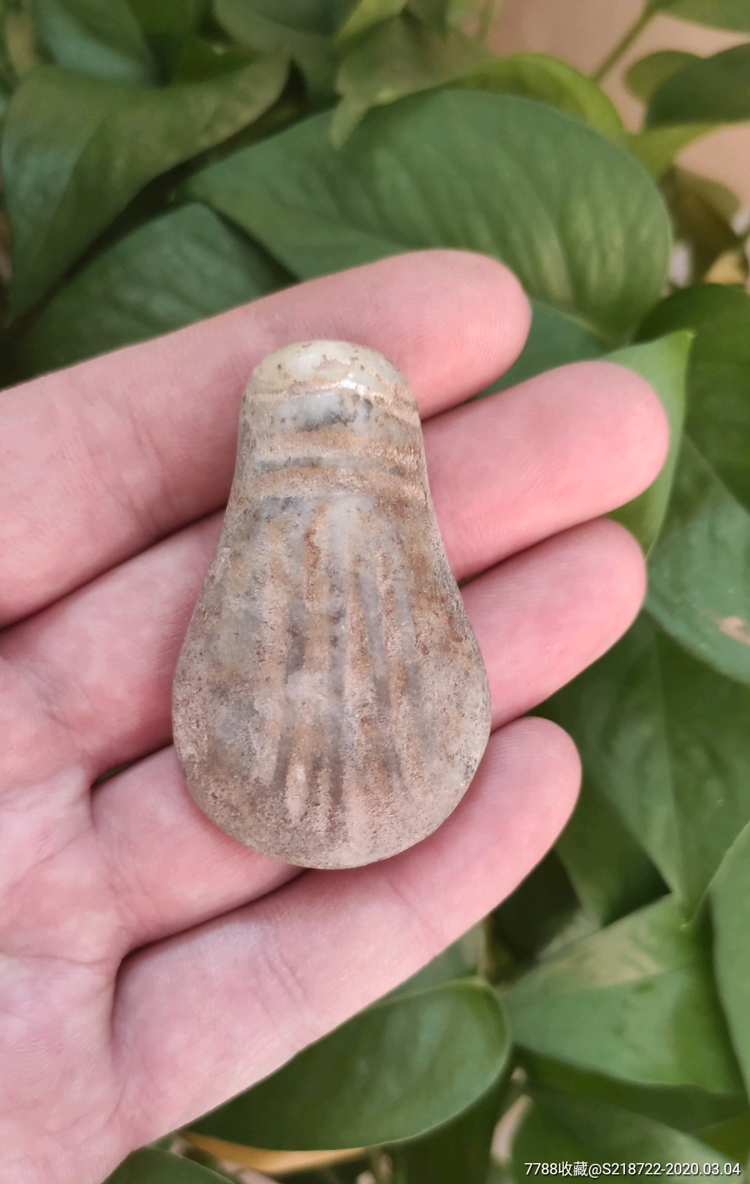 红山文化玉贝壳