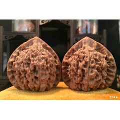 精品老树王勇官帽(se71442393)_7788收藏__收藏热线