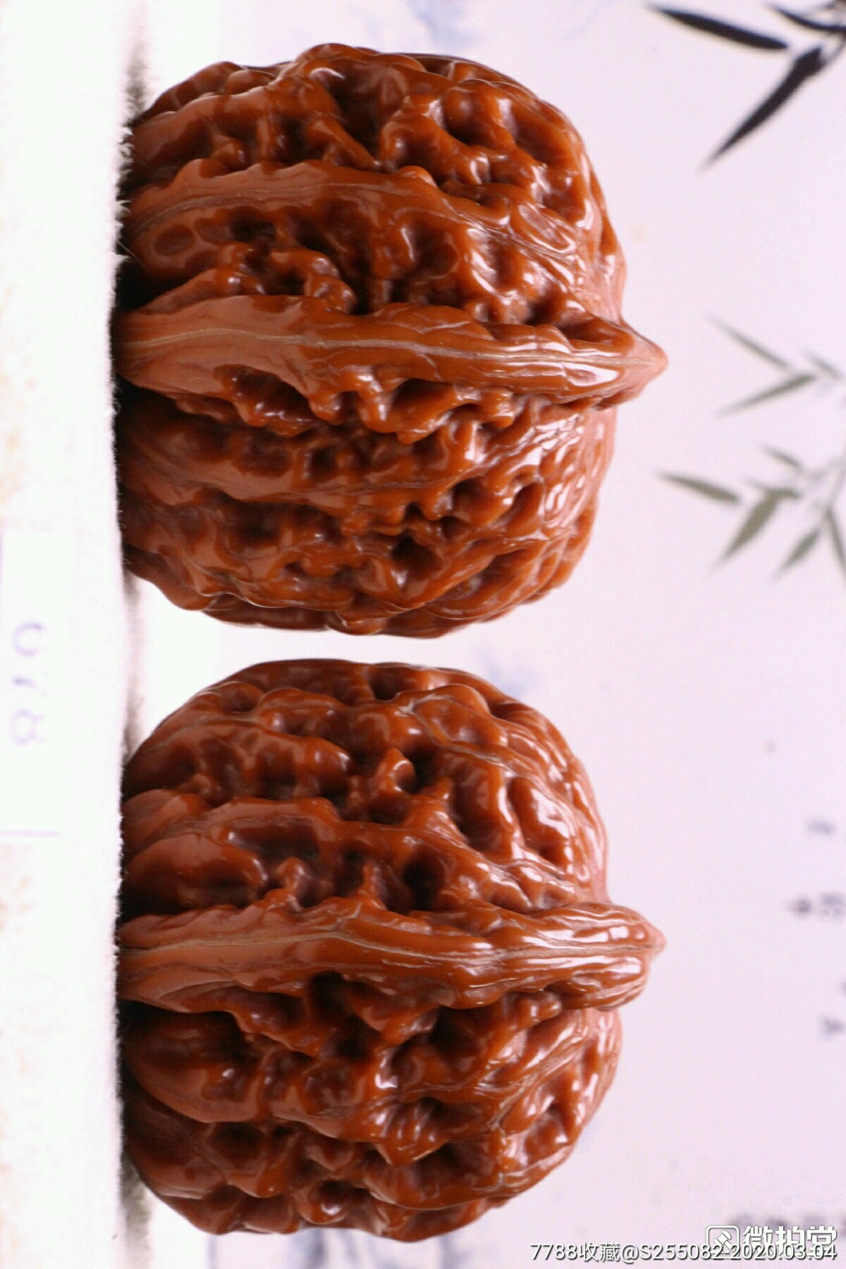 精品四座楼狮子头