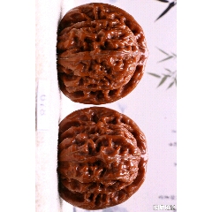 精品四座楼狮子头(se71448448)_7788收藏__收藏热线